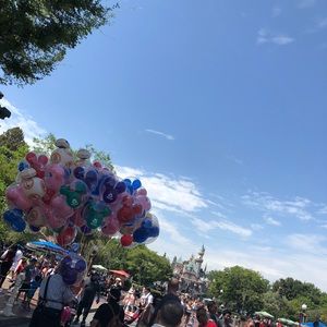 Meet your Posher, Hailey